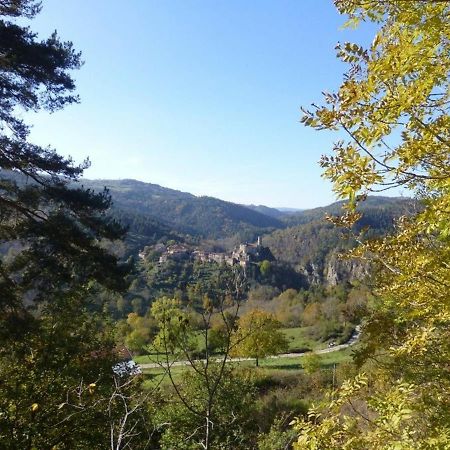 Gite En Pierre Avec Terrasses, Proche De Sites Medievaux, Ideal Pour Famille Avec Equipements Bebe. - Fr-1-582-256 Boisset  Exteriör bild