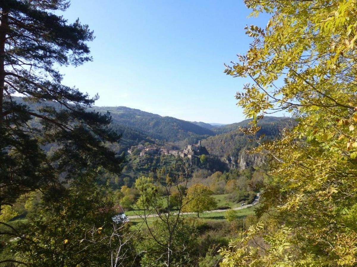 Gite En Pierre Avec Terrasses, Proche De Sites Medievaux, Ideal Pour Famille Avec Equipements Bebe. - Fr-1-582-256 Boisset  Exteriör bild